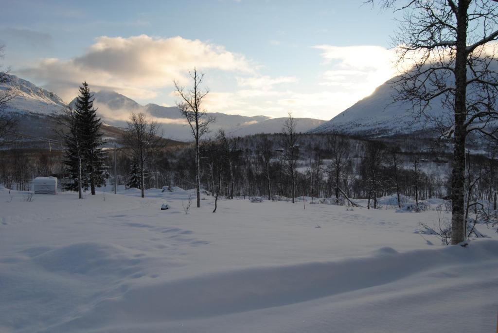 Lapphaugen Turiststasjon Villa Tennevoll Room photo